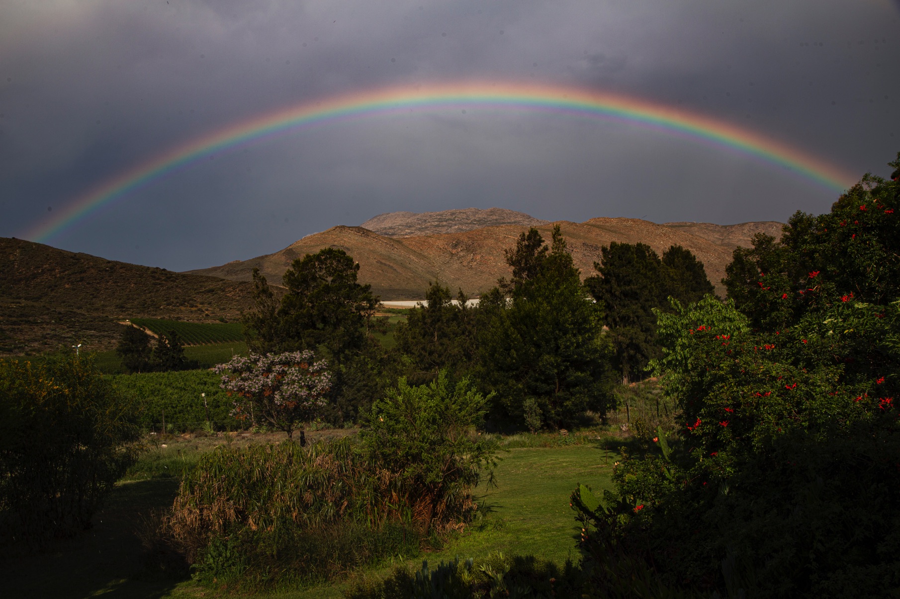 Rainbow Rainbow
