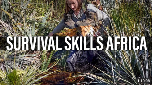skillsafrica