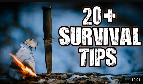 survival skills